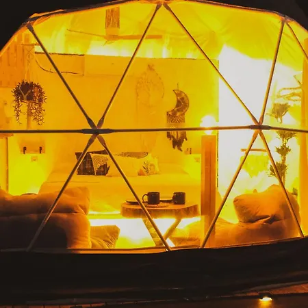 Seed Domo Tarifa * Betis